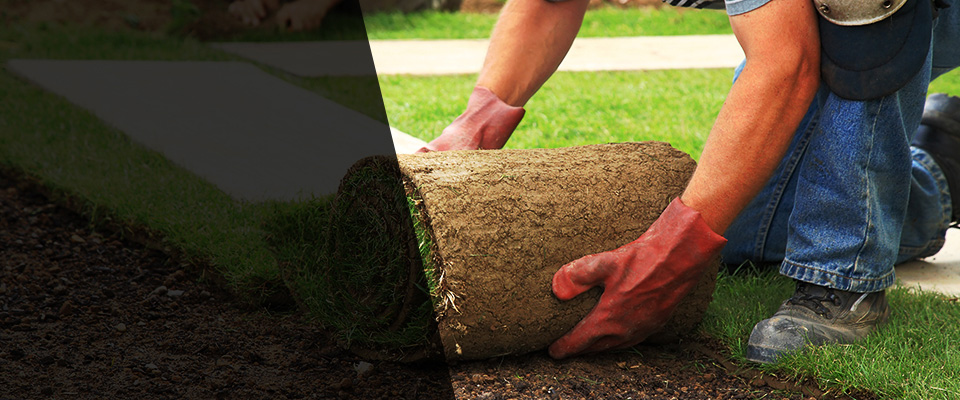 Denville Landscapers